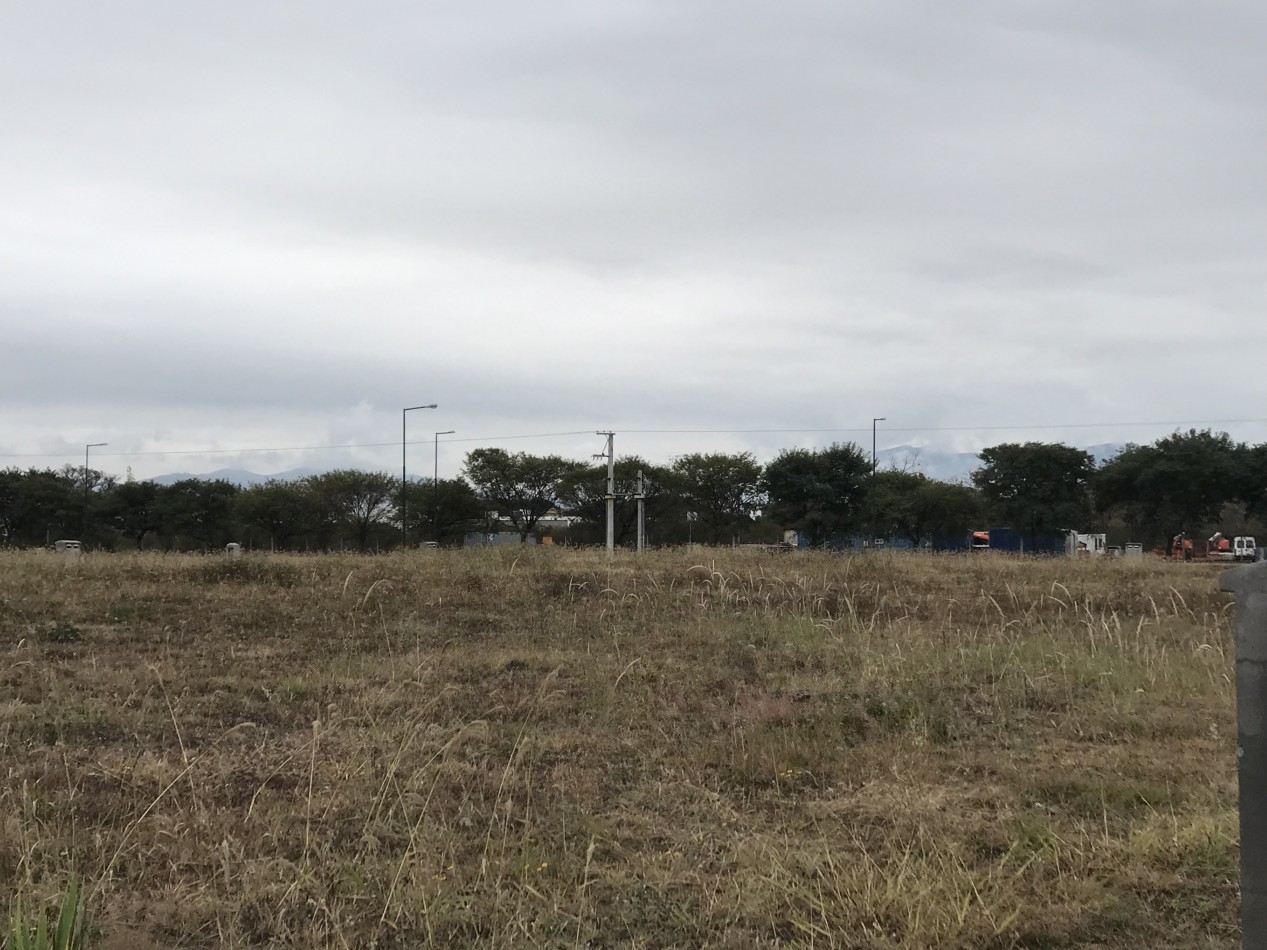 VENTA TERRENO VIA AURELIA