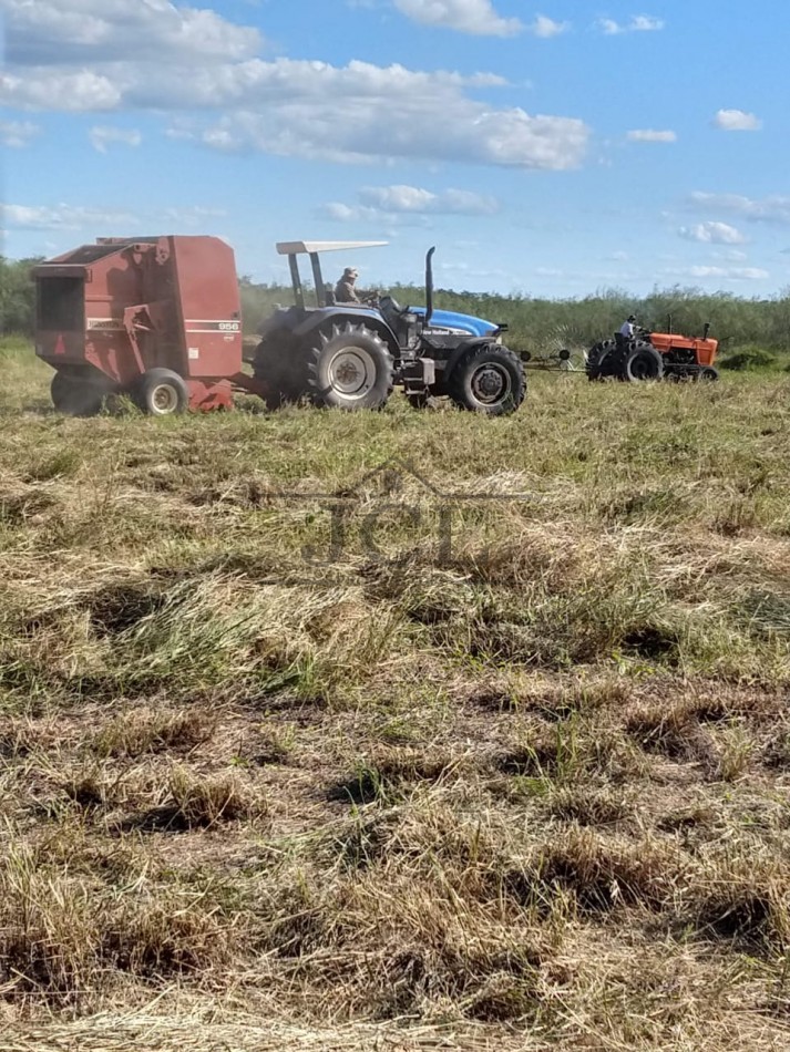 VENTA FINCA, SAN MARTIN, SALTA