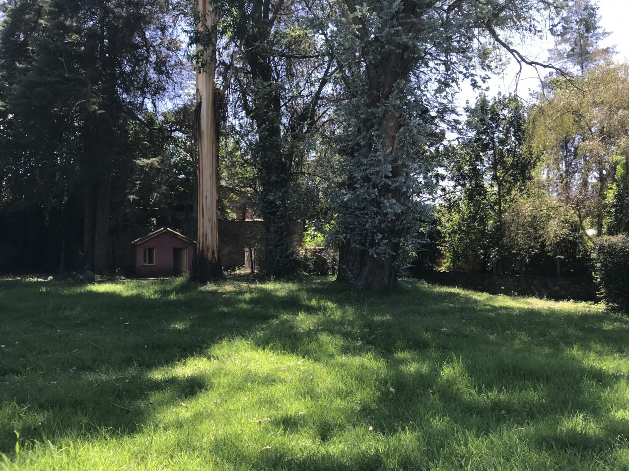 ALQUILER CASA SAN LORENZO