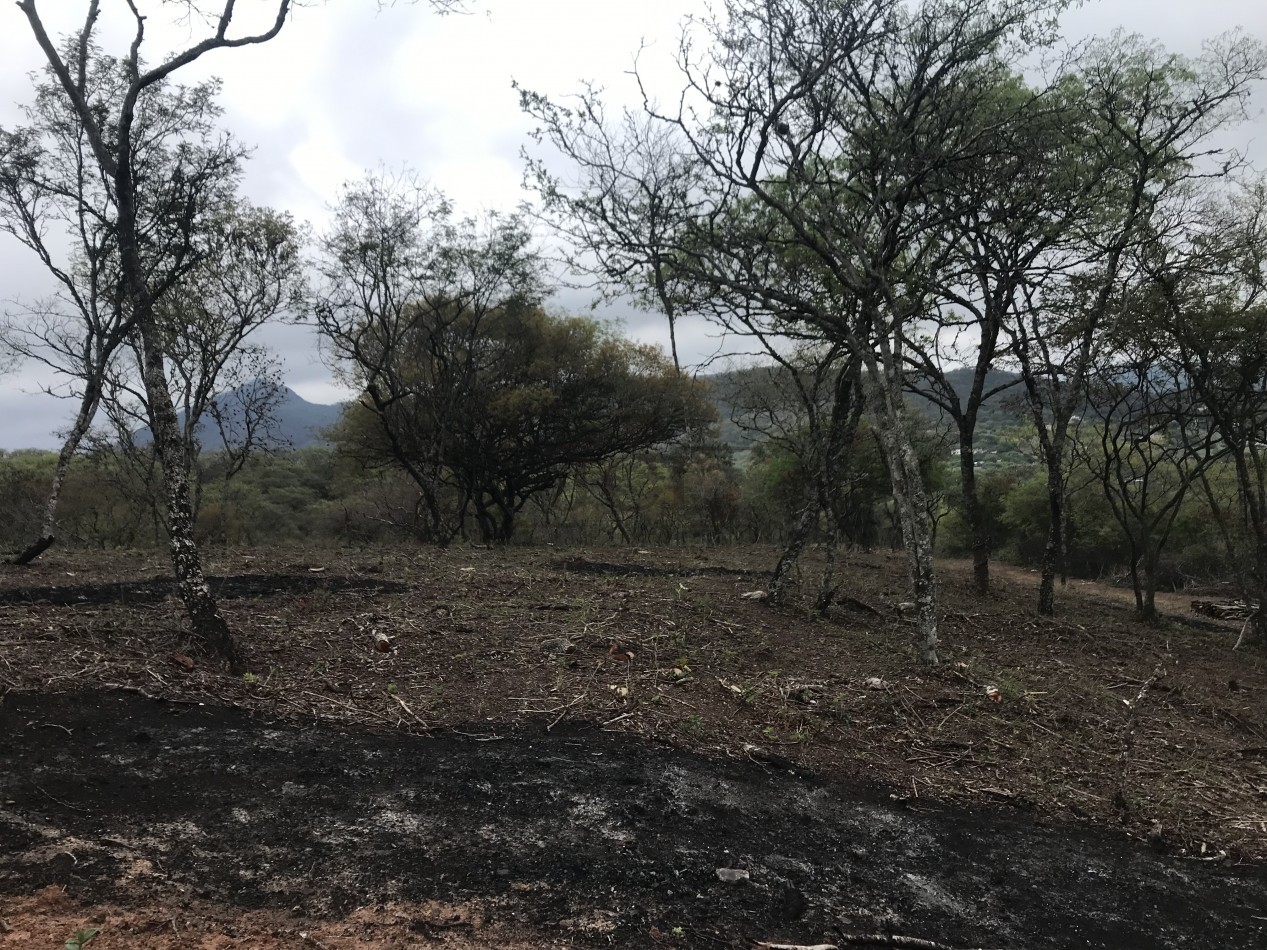 VENTA DEPARTAMENTO B° PRIVADO EL CAPRICHO