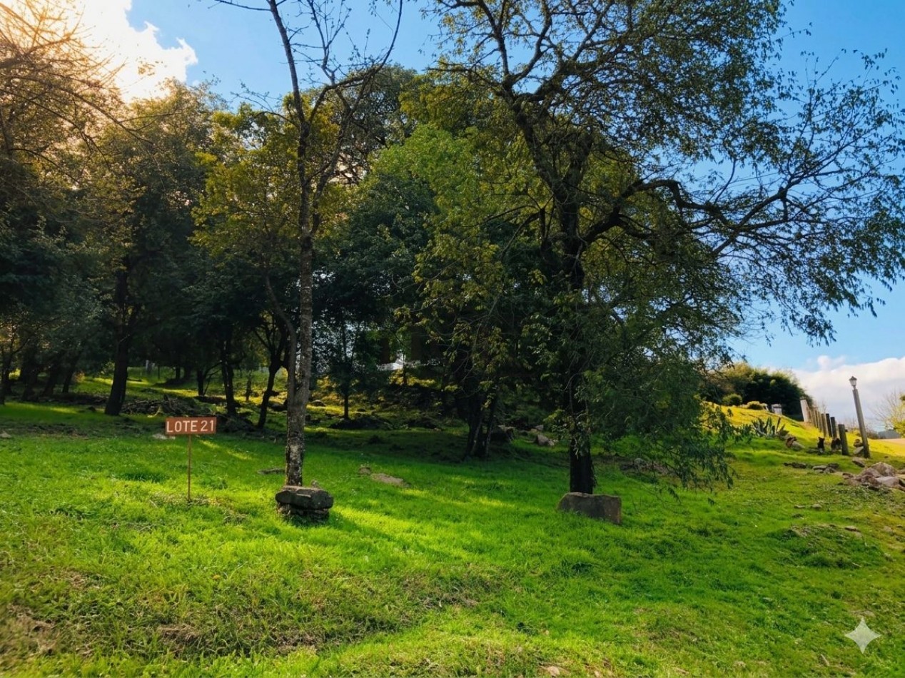 VENTA TERRENO LA HOYADA DE CASTELLANOS