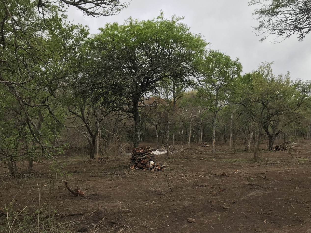 VENTA DEPARTAMENTO B° PRIVADO EL CAPRICHO