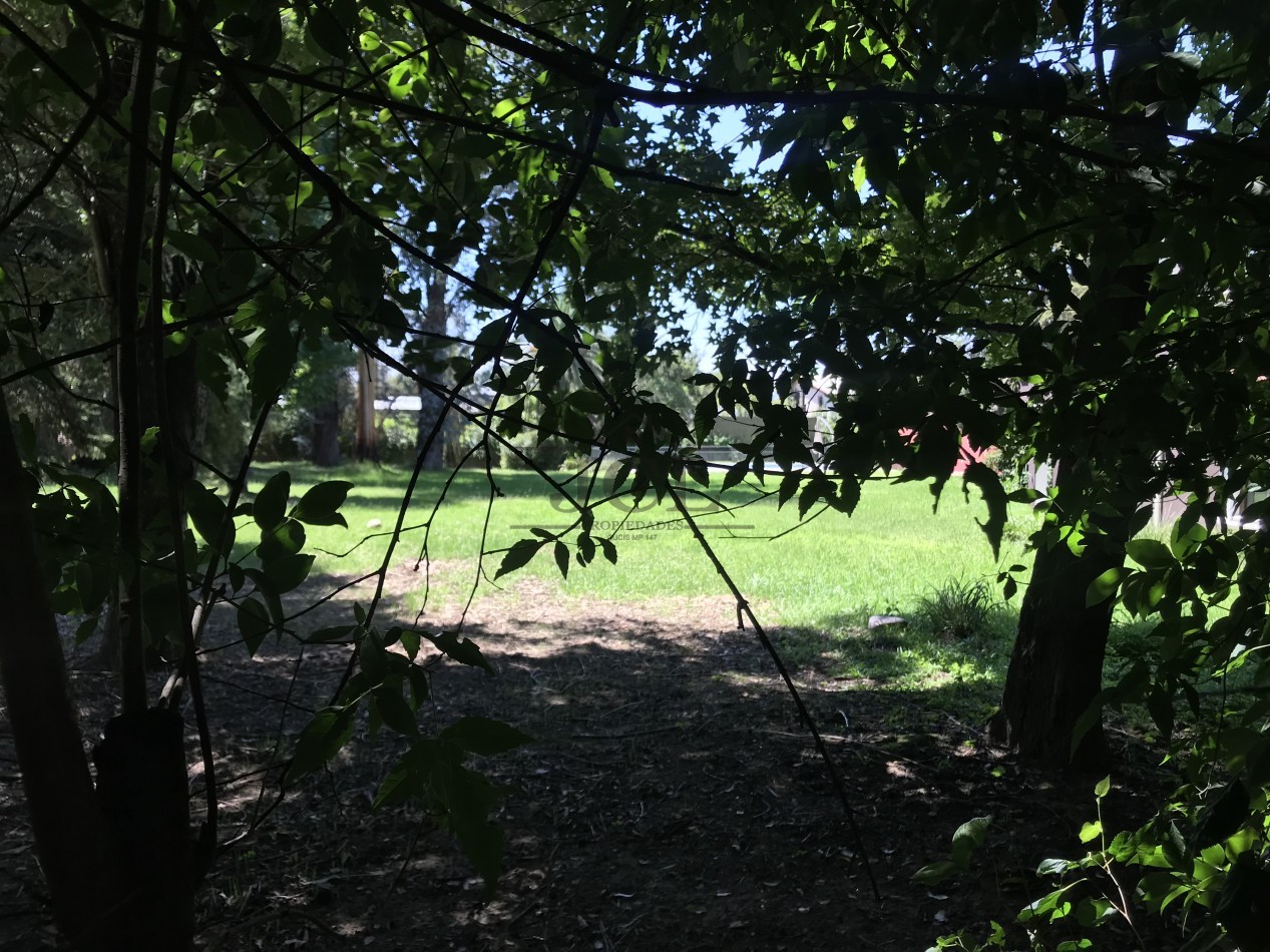 ALQUILER CASA SAN LORENZO