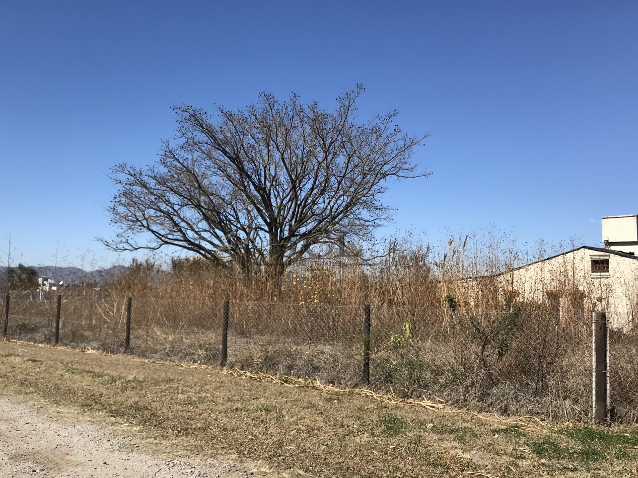 VENTA TERRENO LA ALMUDENA