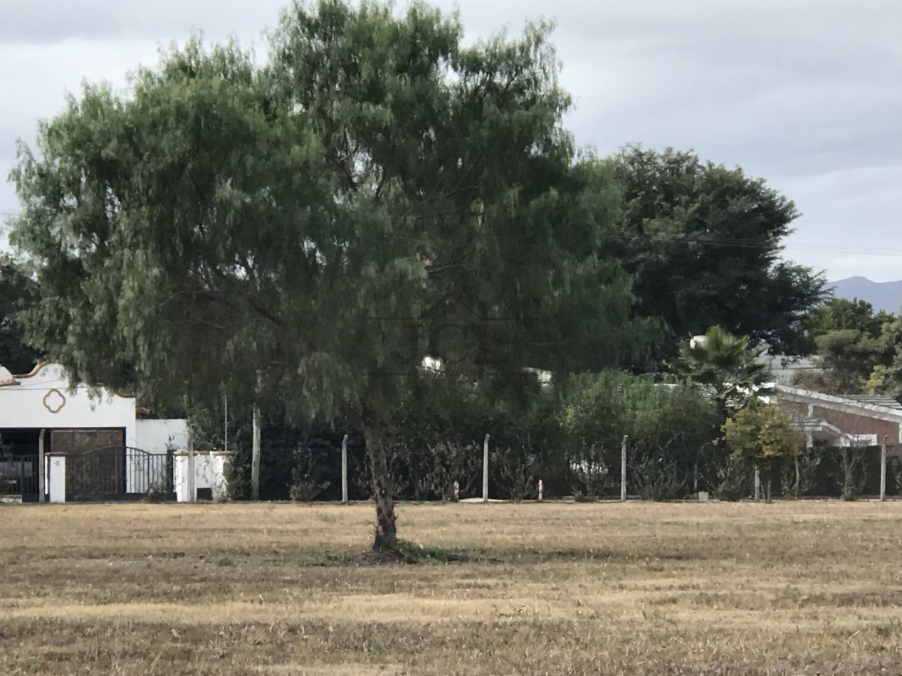 VENTA TERRENO LOS OLMOS 360