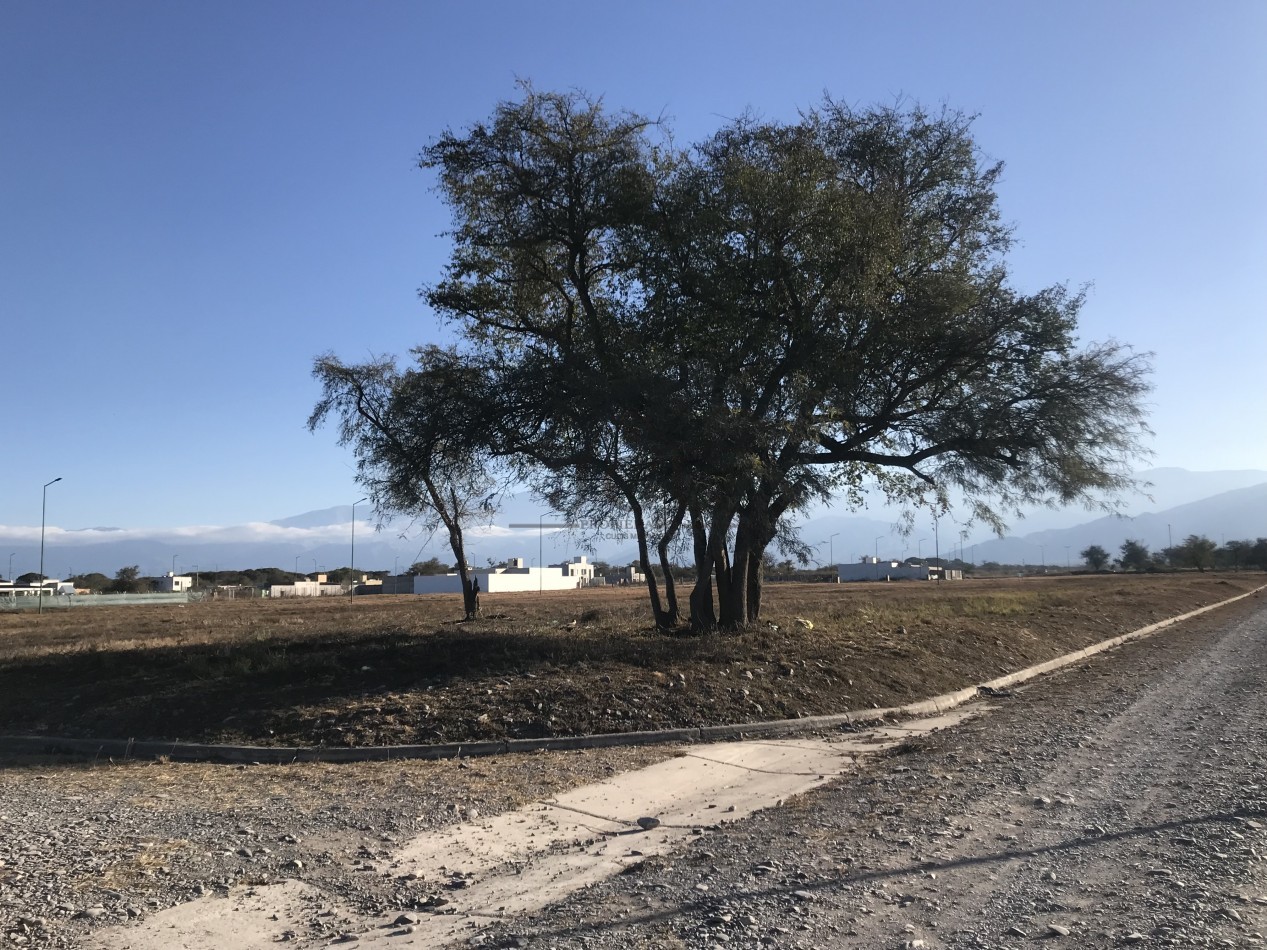 VENTA TERRENO EKO DISTRITO