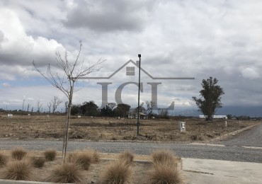 VENTA TERRENO RECODO