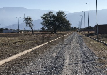 VENTA TERRENO EKO DISTRITO